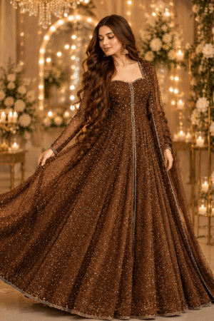 Stardust Stonework Anarkali Gown
